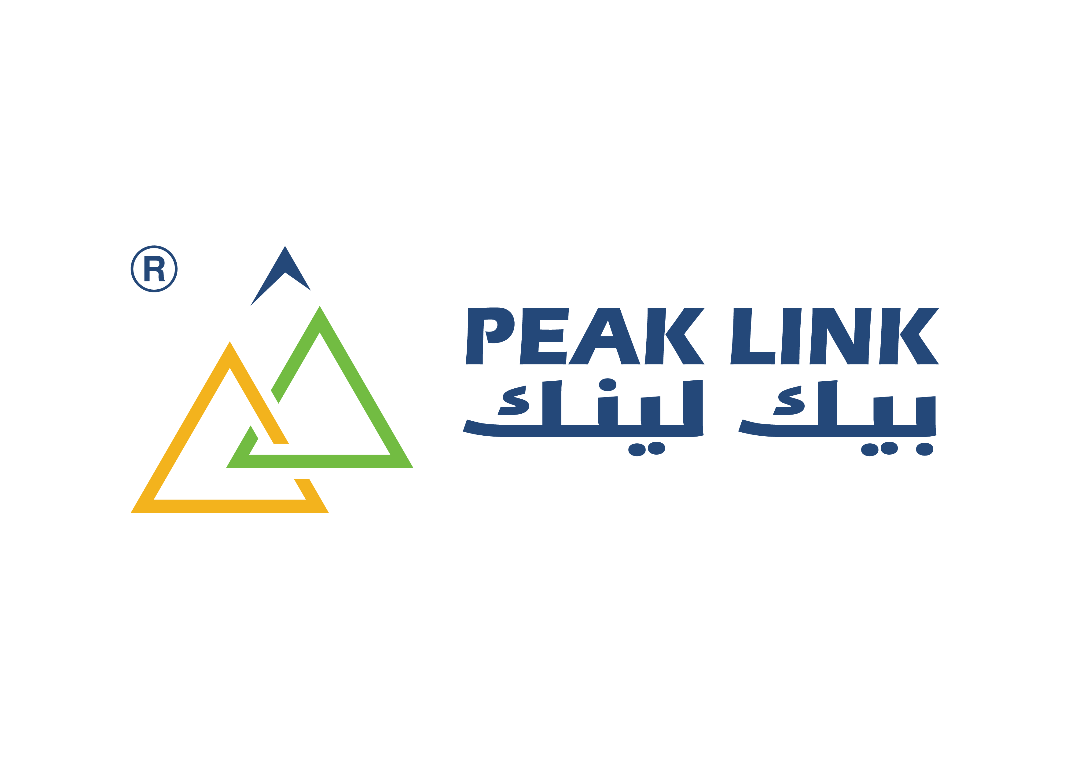 مجموعة بيك لينك لحلول التحول الرقمي
